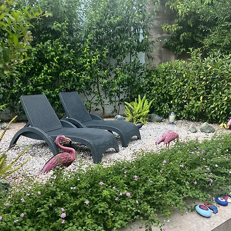 Monte Smith Hill 아파트 *